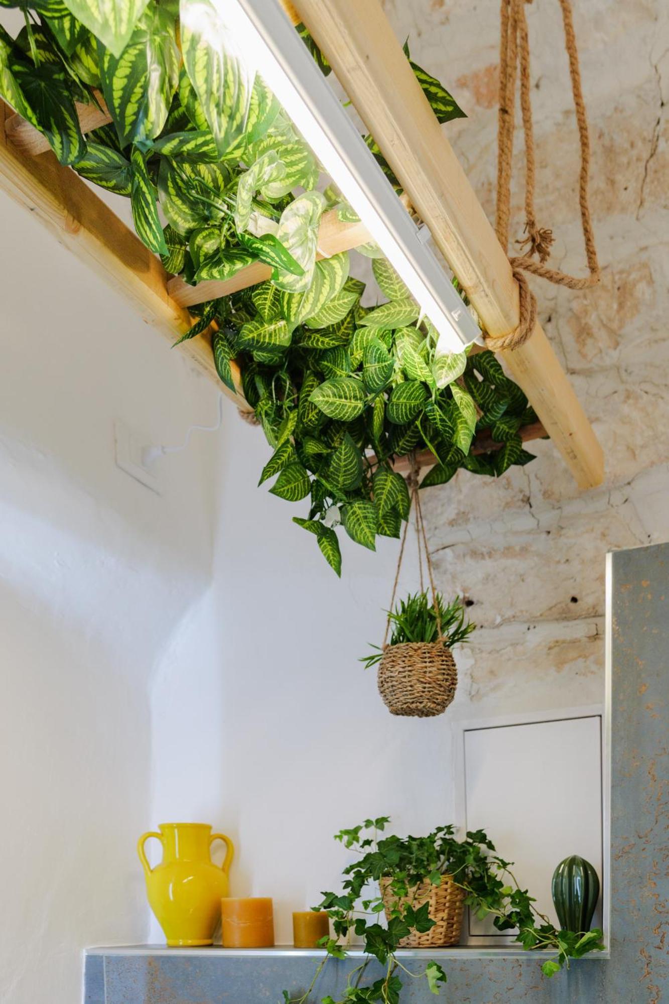 Dimora Lavinia Casa Vacanze Centro Storico Ostuni Extérieur photo